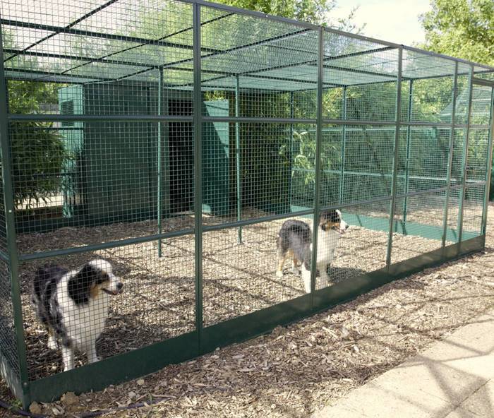Enclos exterieur salerno pour chiens : Enclos et abris pour chiens