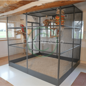 Comment choisir une cage pour vos oiseaux ? - Blog Colony Perroquet
