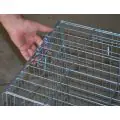 Cage de Transport pour Chat Pecci