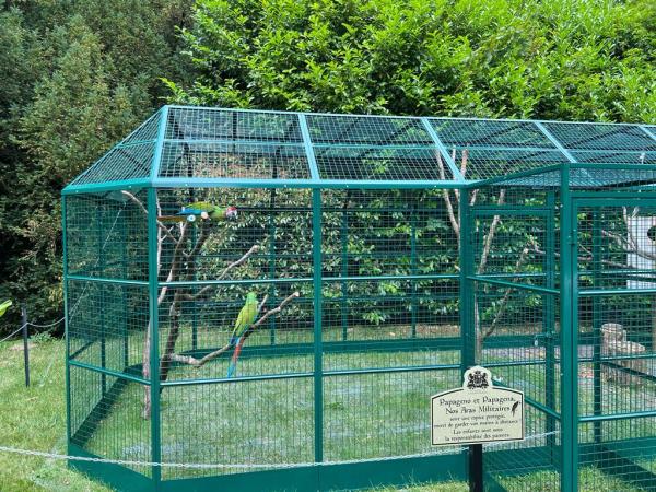 Créer une volière extérieure dans votre jardin