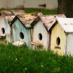 Comment fabriquer un nichoir pour oiseaux : guide pratique