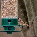 Fabriquer une mangeoire pour oiseaux facilement